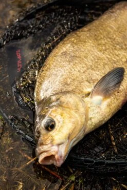 Ultimate Coarse Fishing Net 50 X 40 Cm -Sports - Freshwater Fishing 4591855e56a4c716