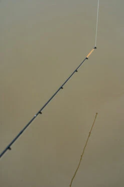 Korum Phase 1 Float Match Rod -Sports - Freshwater Fishing 53b394016e28d39e