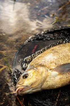 Ultimate Coarse Fishing Net 50 X 40 Cm -Sports - Freshwater Fishing 6b81548f2d0845c8