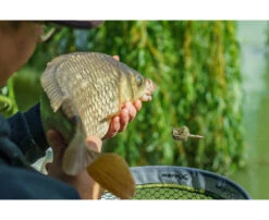 Matrix Pellet Feeder -Sports - Freshwater Fishing e305560fdcd02a5d