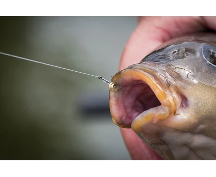 Matrix MXC-6 Barbless Eyed Coarse Hooks (10pc) 7 Matrix MXC-6 Barbless Eyed Coarse Hooks (10pc) - Image 5